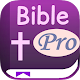 Bible PRO: King James Version (NO ADS!) Download on Windows