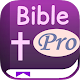 Bible PRO: King James Version (NO ADS!) Install on Windows