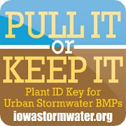 Iowa Plants: Pull it or Keep it
