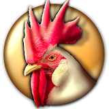 Chicken Button icon