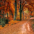 Autumn Wallpaper & Nature HD