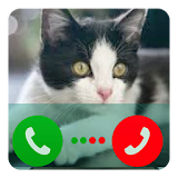 Fake Call Cat Angela icon
