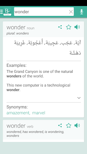Arabic English Translator, Dic Screen 2