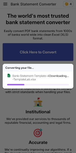 Bank Statement - PDF to XLS ekran görüntüsü