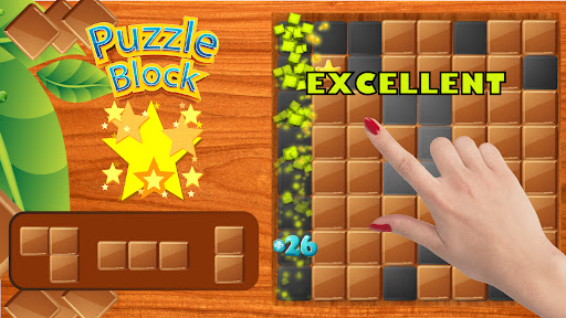 Woody Puzzle Block Puzzle Game