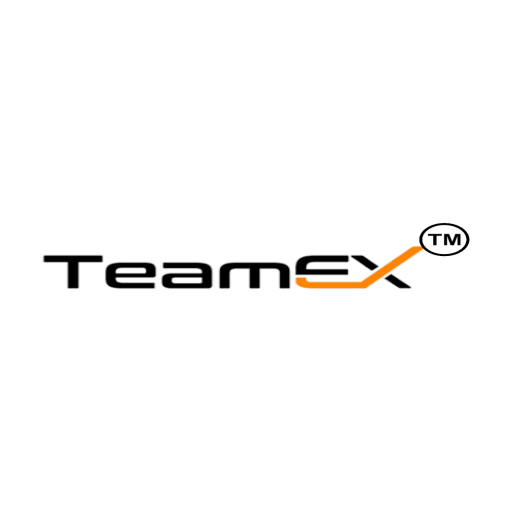 Teamex logo