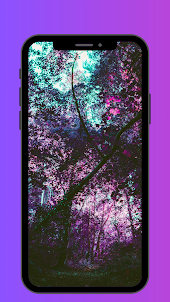 紫の壁紙
