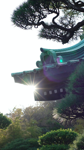 Travel video wallpapers