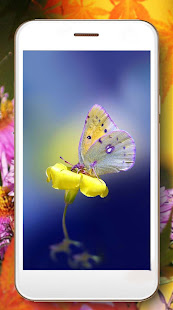 Butterflies and Flowers 1.3 APK screenshots 4