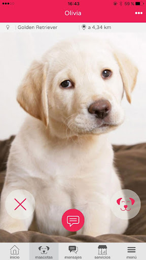 Pluv - Your pet your world Screen 3