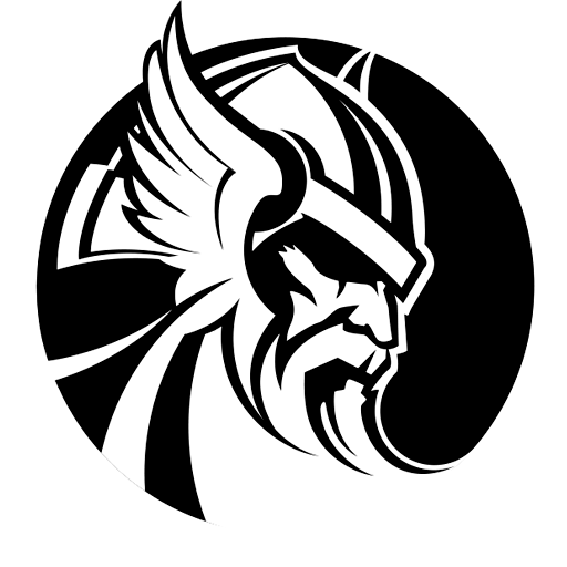 Sistema Odin - OPME logo