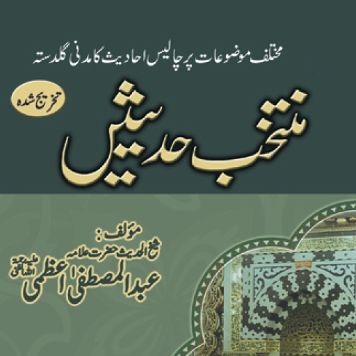 Muntakhab Hadeesenمنتخب حدیثیں logo