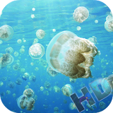 Jellyfish Video Live Wallpaper icon