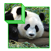 Zoo Puzzle 3D for kids  Icon