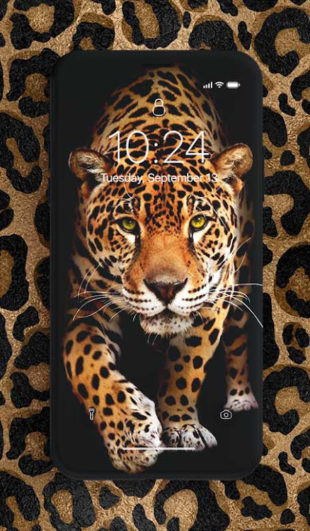 Leopard Wallpaper - 1.0.3 - (Android)