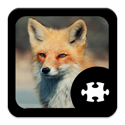 Icon image Fox Puzzle