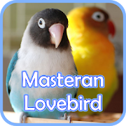 Top 35 Music & Audio Apps Like Masteran Lovebird Ngekek Gacor - Best Alternatives