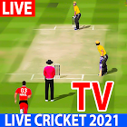 Play With Friends-Real Cricket Craze 1.4