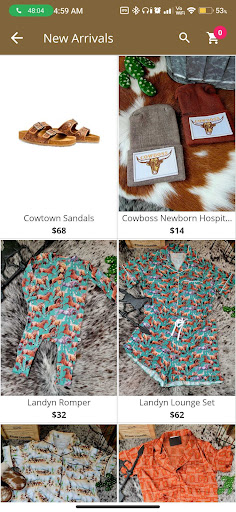 Ranchy Riatas Boutique Screen 3