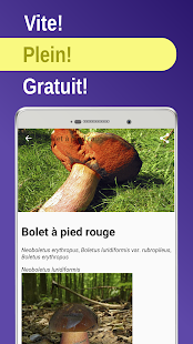 Aperçu de l'application