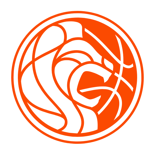 Basketball.nl  Icon