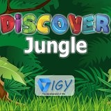 Discover jungle icon