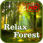 Cover Image of Скачать Relax Forest  APK