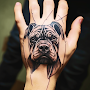 Dog Tattoo Designs 5000+