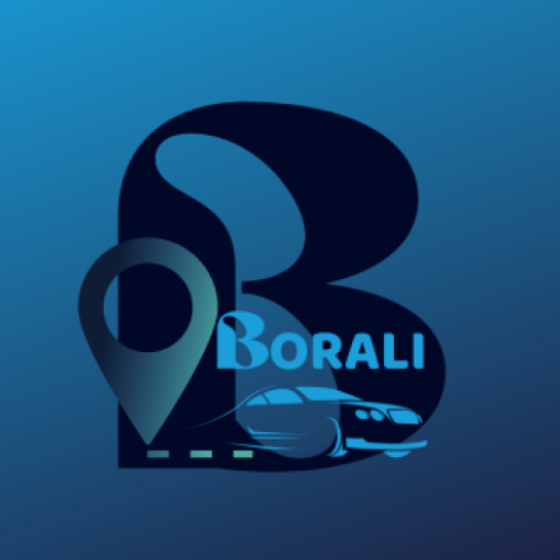 BORALI DRIVER MOTORISTA logo