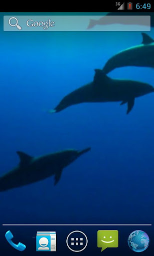 Wild Dolphins Video Wallpaper Screen 2