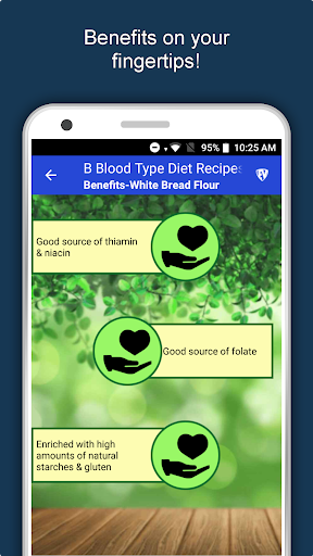 Screenshot of B Blood Type Recipes Diet Plan