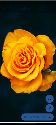 Android application yellow wallpapers offline screenshort