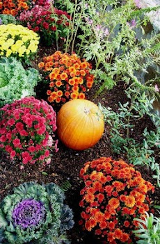 DIY Gardening Tipsのおすすめ画像4