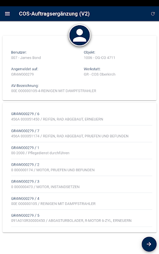 COS-Auftragsergänzung Screen 2