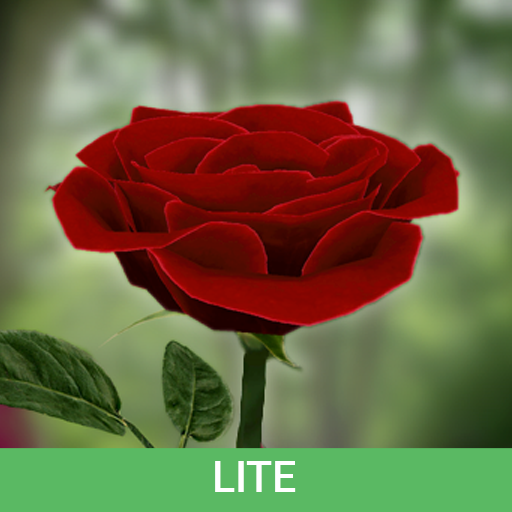 3D Rose Live Wallpaper Lite 6.1 Icon