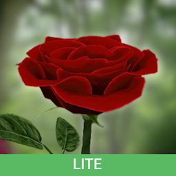 صورة رمز 3D Rose Live Wallpaper Lite