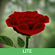 3D Rose Live Wallpaper Lite - Androidアプリ