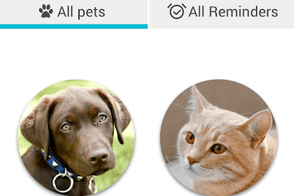antioch animal hospital reviews