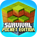Survival 3D Pocket Edition icon