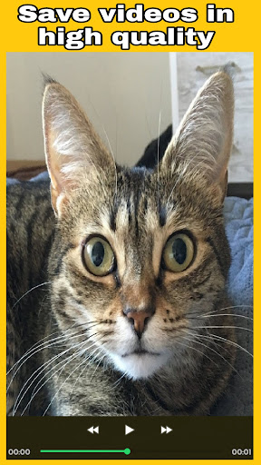 Status Saver - Status download