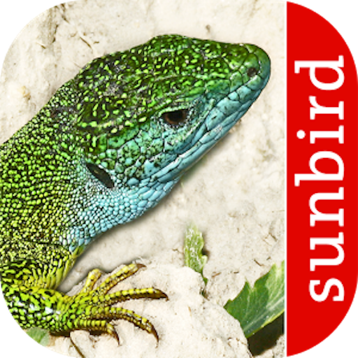 Reptiles and Amphibians - iden 4.0 Icon