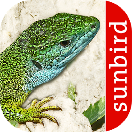 Reptiles and Amphibians - iden logo