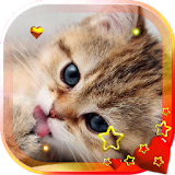 Kitty n Puppy live wallpaper icon