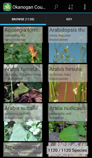 North California Plants