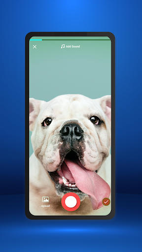 Status Badshah - Short Video Sharing App