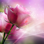 Cover Image of Download Pink Roses Live Wallpaper  APK
