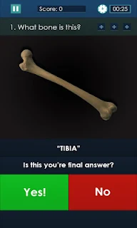 Dr. Girder's Bones
