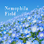 Nemophila Field Theme
