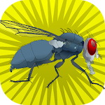 Cover Image of Download Super Fly  APK