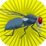 Cover Image of ดาวน์โหลด Super Fly  APK